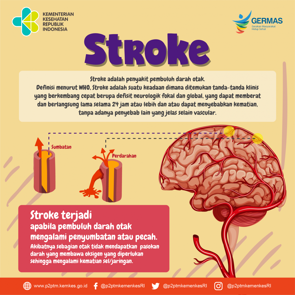 Health Information Slide 2